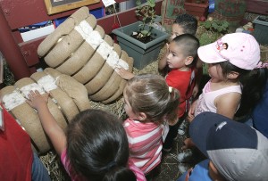 Stratford Head Start